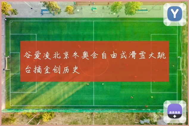 谷爱凌北京冬奥会自由式滑雪大跳台摘金创历史