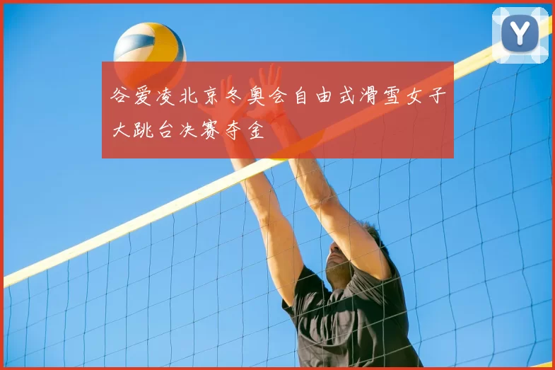 谷爱凌北京冬奥会自由式滑雪女子大跳台决赛夺金