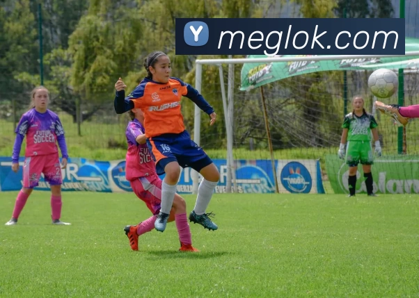 乐竞体育·(中国)官方网站 LEJING SPORTSAPP 封面图